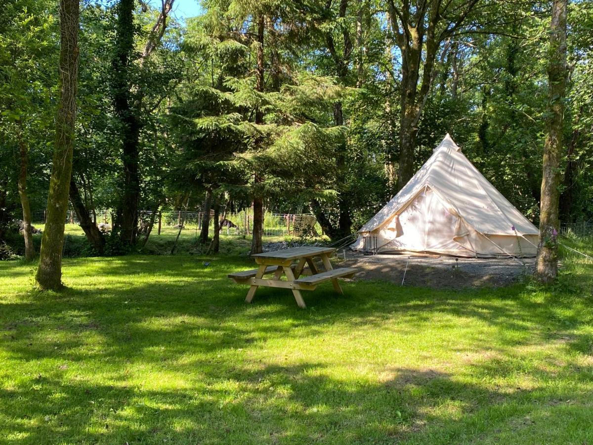 Hotel River View Glamping Llandovery Exterior foto